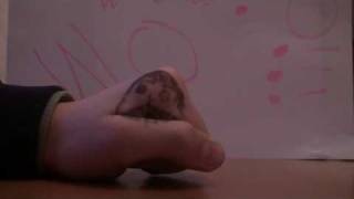 Funny hand song: Woohoo