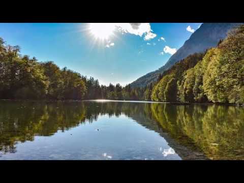 Puiu Chibici - Ajutor potrivit