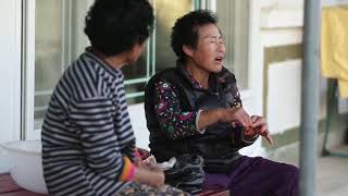 '[What? 섬! 섬이 궁금해??] 보성 장도의 섬코디네이터 홍보맨이 알려줄게' 동영상 배경 썸네일