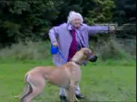 grany walks dog