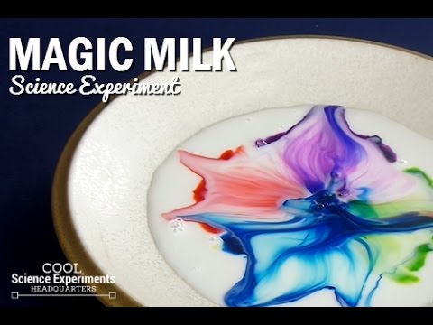 Magic Milk Science Experiment