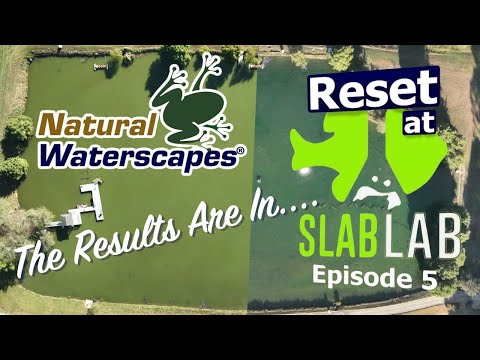 Floccing Amazing! | The Slab Lab Pond Clears Before Our Eyes