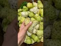 This Fruit (  Noni )  Has Very Bad Smell  Do  You  Know About It ? #satisfying #short