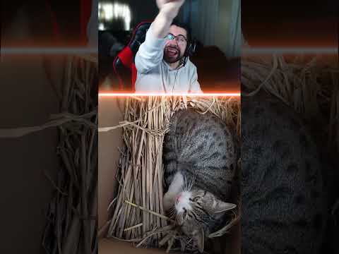 البسة اخذت دور الدجاجة 😂