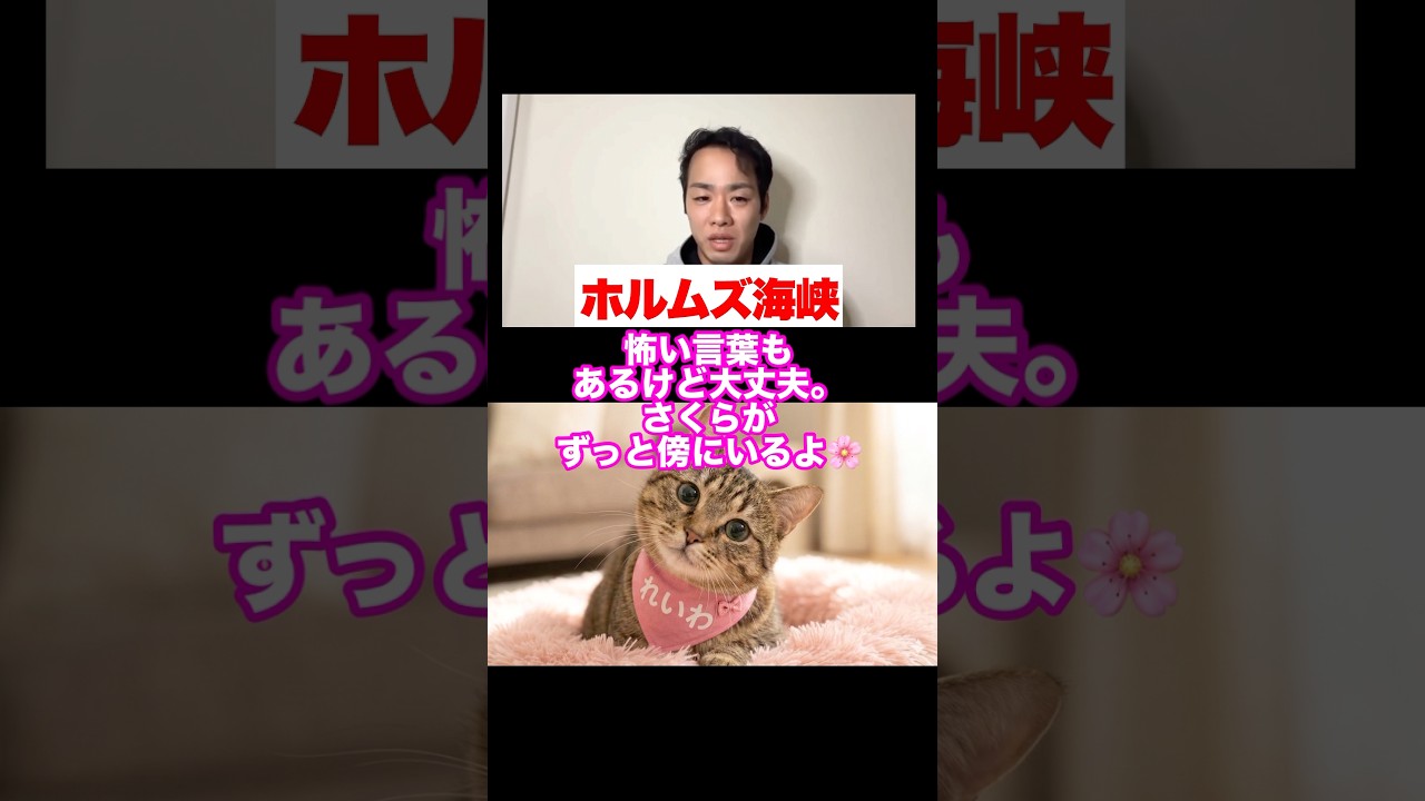 毎日の生活が苦しい『本当の理由』🌸〜あなたのせいじゃないんだよ〜