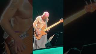 Download lagu Red Hot Chili Peppers Flea Bass Solo (Citizens Bank Park 9-3-22) mp3 Download lagu Red Hot Chili Peppers Flea Bass Solo (Citizens Bank Park 9-3-22) mp3