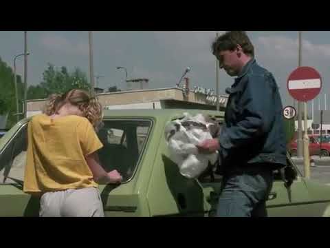 Kogel Mogel 2 - CIĘŻKIE BĘDZIE MIAŁ PAN TERAZ DNI