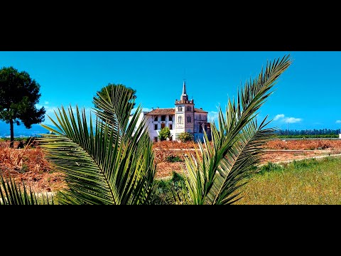 This is why you Should visit el campo de Alzira, Algemesi and Guadassuar-La Ribera Alta-VLC-VLOG HD.