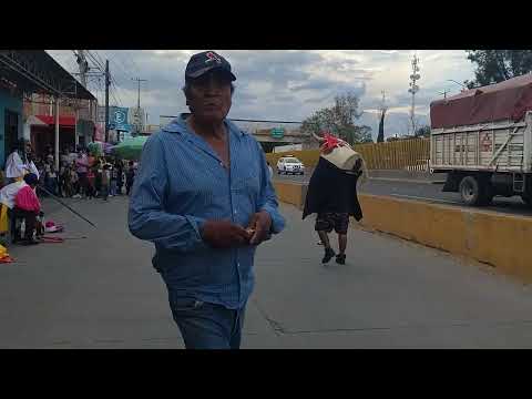 Danza del toro San Antonio Texas de don pancho Rocha dia 14 de mayo del 2026