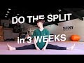 [Eng] 3주만에 다리찢기 ㅣ Leg split in 3 weeks ㅣ