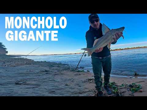 PESCA,PELIGROSAS BARRANCAS y POZOS GIGANTES A DOS METROS DE LA COSTA eso fue este día en TIMBUES.
