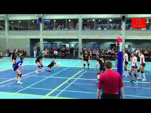 Amigos Michelbeke Dames Volleybal