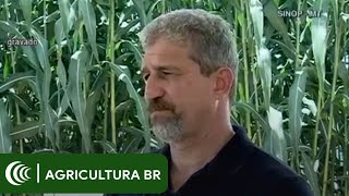 Miniatura do vídeo