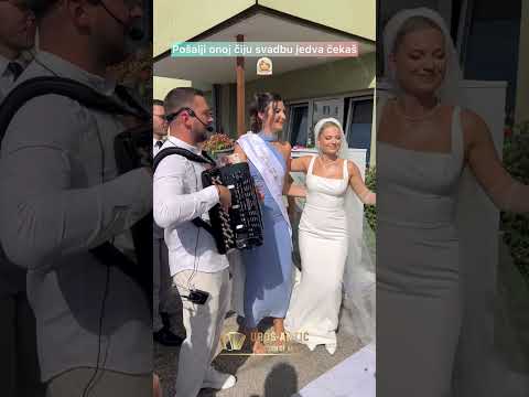 #urosantic #wedding #harmonika #live #svadba #austrija