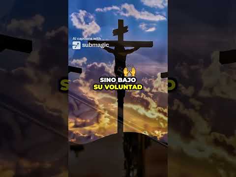 ¿Por qué Dios permite la maldad en el mundo y no interviene?