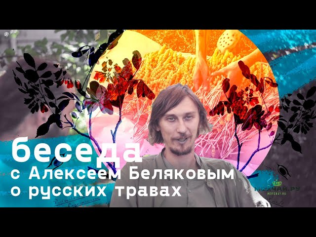 Беседа с Алексеем Беляковым о русских травах