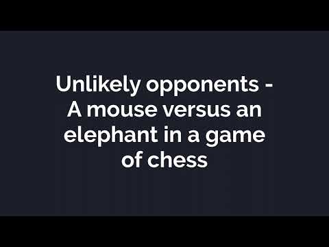 From the Award Winning Villafane Studios