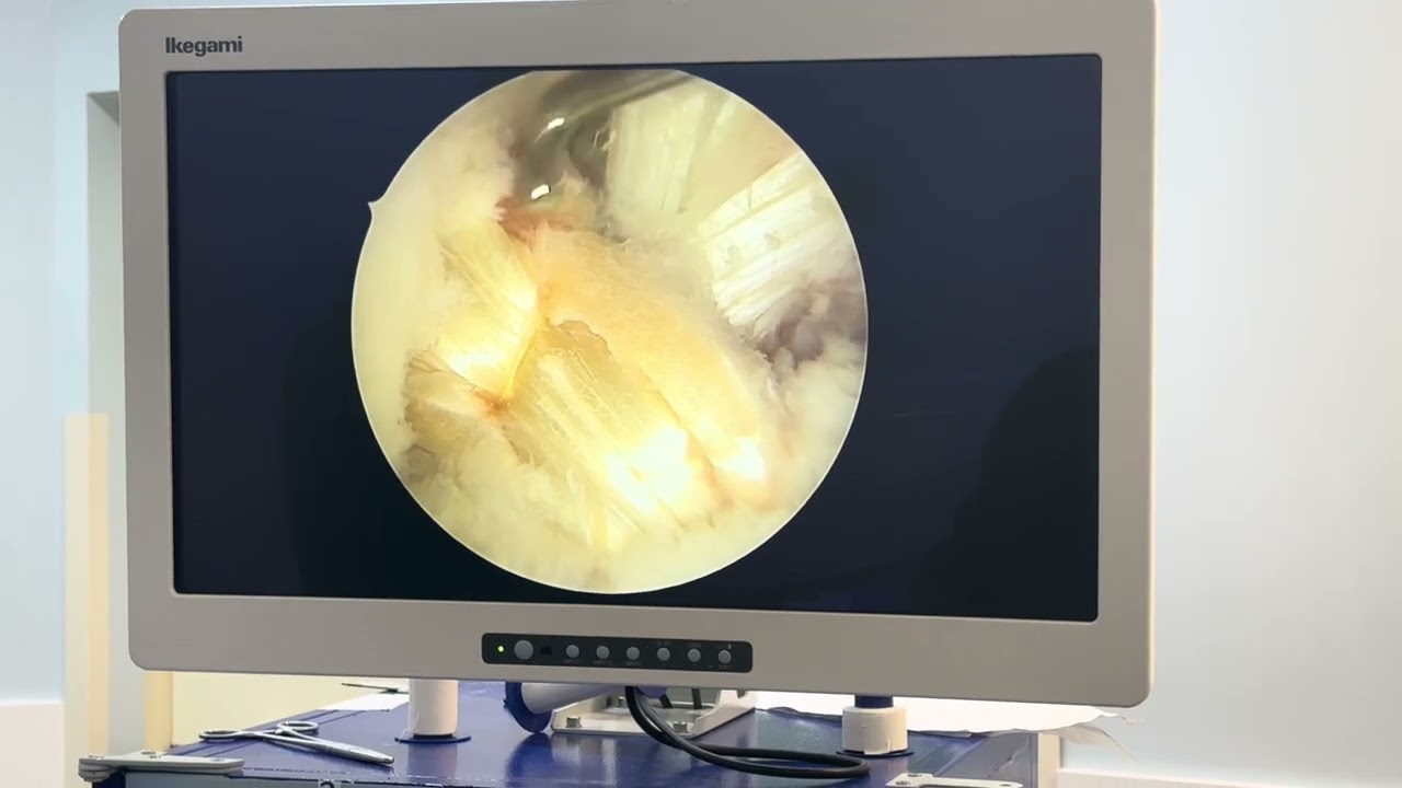 Leonardo Dalla Giacomassa Rocha Thomaz-11