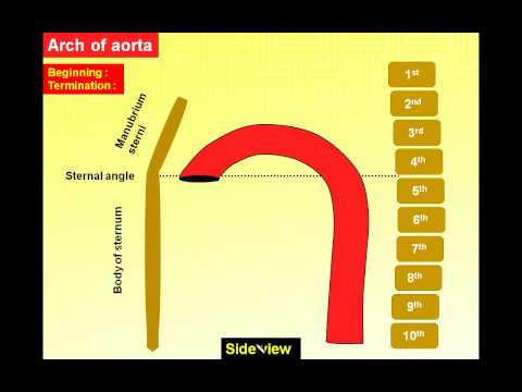 EslamNabil617’s Video 140732525833 Bq5UhwmnsZo