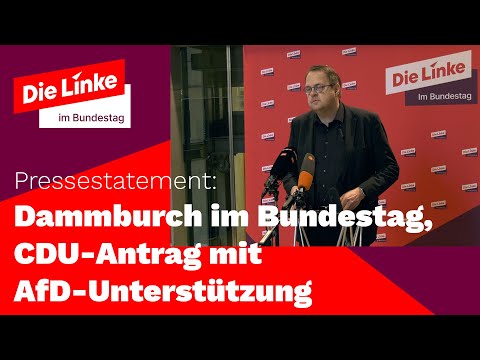 Dammbruch im Bundestag, CDU-Antrag mit AfD-Unterstützung