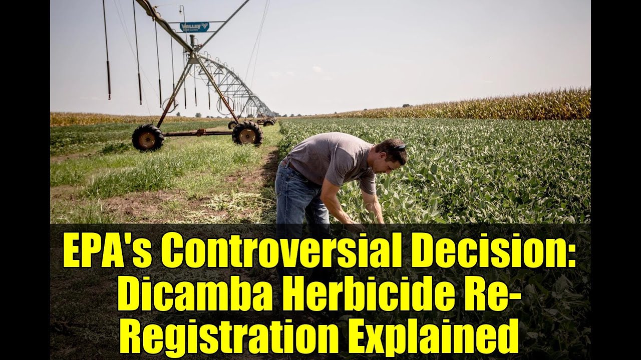 EPA's Controversial Decision: Dicamba Herbicide Re-Registration Explained