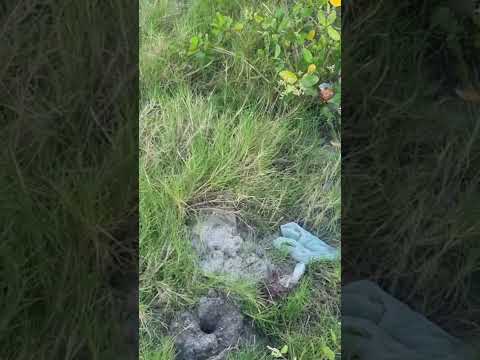 #sonhosnuncaenvelhecem  #Indiaroba/Sergipe #kombihome  #viagem