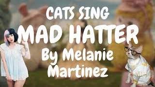 Cats Sing Mad Hatter by Melanie Martinez | Cats Singing Song