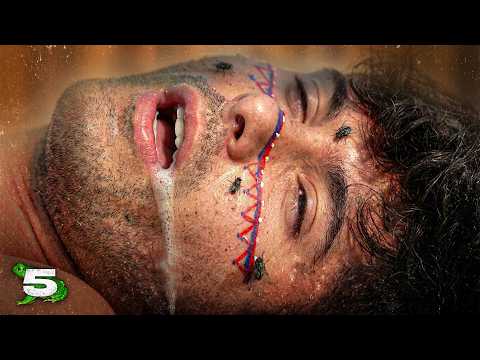 aledellagiusta and Geopop