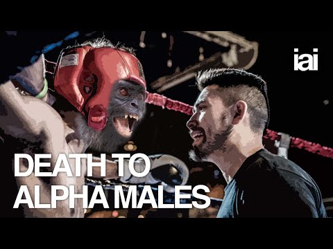 Why there are no more alpha males | Richard Wrangham | The goodness paradox