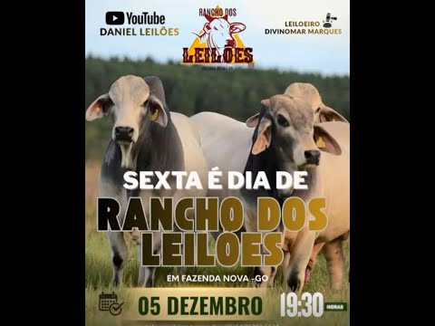 FAZENDA NOVA - GO  05/12/2025