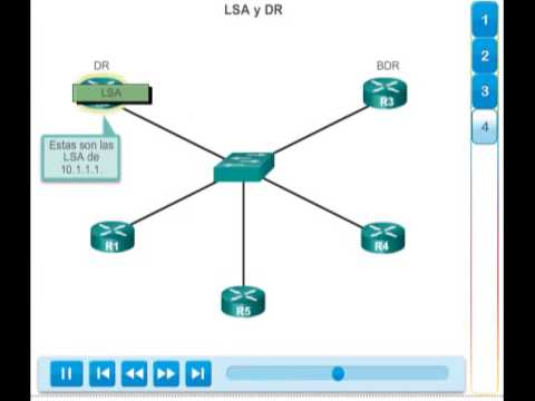 37) 8.1.3.3 DR y DBR OSPF 4