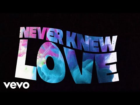 Charles Jenkins & Fellowship Chicago - Never Knew Love (Lyric Video)