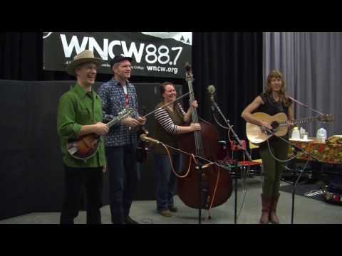 Foghorn Stringband - 'Yearlings In The Canebrake'