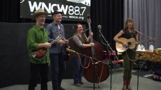Foghorn Stringband - 'Yearlings In The Canebrake'
