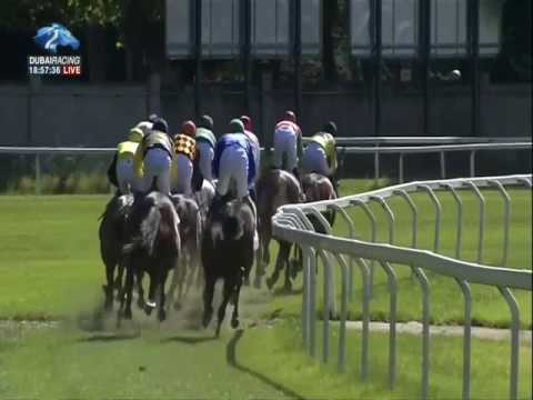 2017.06.18 Premio Xxxix Royal Mares (ITA) - Musa D'oriente