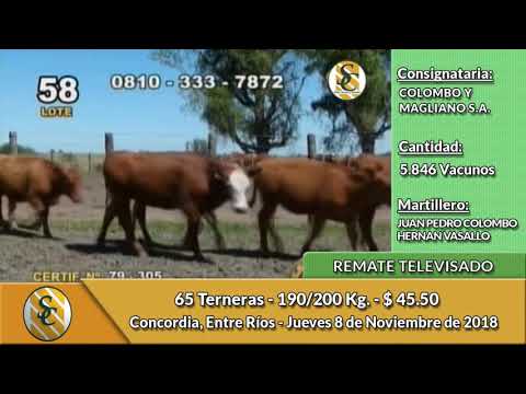 8-11-18 - Remate Televisado de COLOMBO Y MAGLIANO S.A. - Entre Ríos