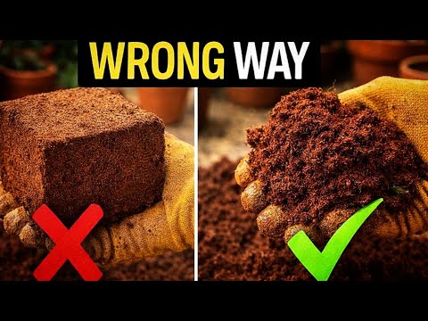 STOP Using Cocopeat Like This ❌ | Correct Cocopeat Preparation for Plants