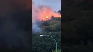 fumo-paura-e-fiamme-brucia-montevergine-in-fuga-dalle-case-a-mercogliano