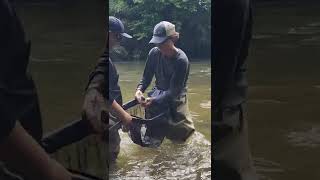 Fly Fishing the Soque River at Fern Valley with Joshua Pile for Trophy Trout.