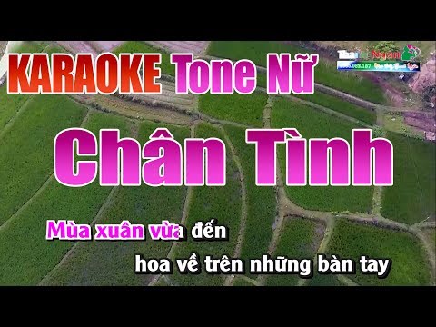 Chân Tình Karaoke | Tone Nữ - Nhạc Sống Thanh Ngân