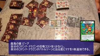 DM対戦動画　男２人で気ままに対戦　大分5/5