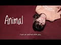 Troye Sivan Animal Cover