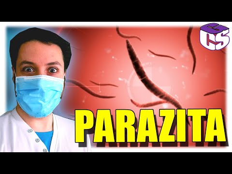 Tüdőbetegség parazita
