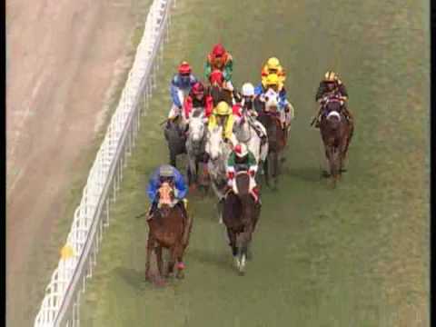 Jive talking finally beat the jinx with cedric segeon on board