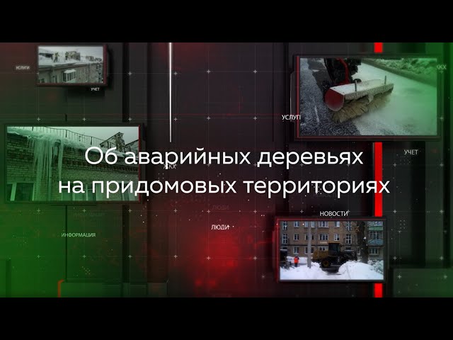 Видеопомощник ЖКХ: Об аварийных деревьях на придомовых территориях