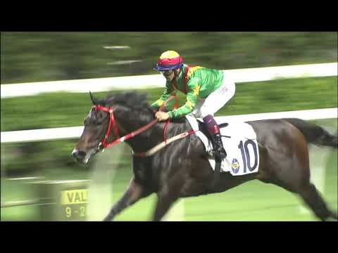 15/9/2021 (33) Great Harvest - A Badel