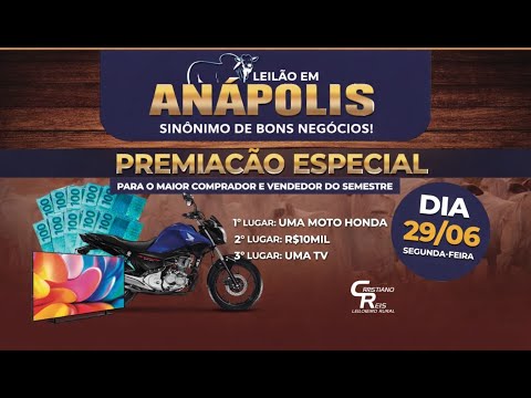 LEILÃO DE ANÁPOLIS | ANÁPOLIS-GO  30/03/2026 | LEILÃO DE GADO AO VIVO