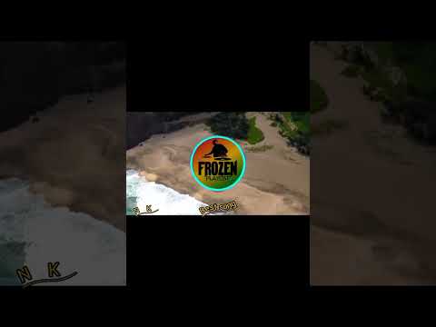 DJ Zombie ft. Bad Bunny & Farruko - Krippy Kush [IslandMoombah Remix]