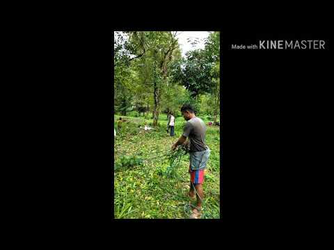 Nyanyian anak negri,