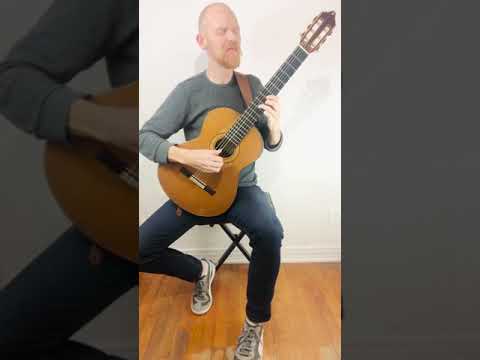 Waltz by Johan Strauss II (transcribed by N. Coste Op.7 No.3)